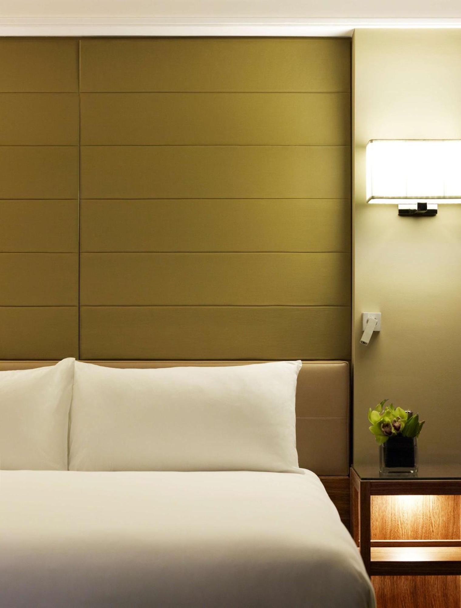 Kamer met 1 Kingsize Bed en Uitzicht op de Stad